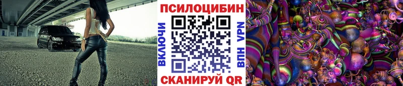 площадка телеграм  Жиздра  Галлюциногенные грибы прущие грибы 